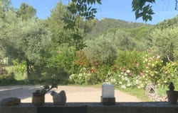 Uzès, Languedoc-Roussillon 30700