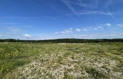 FEYTIAT, Limousin 87220