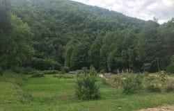 Cronce, Auvergne 43300