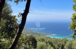 Corbara, Corsica 20256