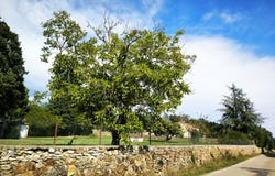 Uzès, Occitanie 30700