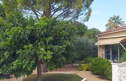 Saint-Félix-de-Lodez, Occitanie 34725