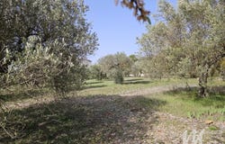 Tavernes, Var 83670