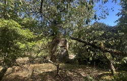 MONTGAILLARD, Occitanie 09330