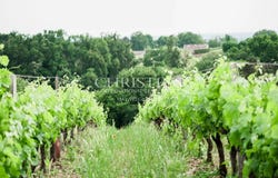 Cambes, Aquitaine 33880