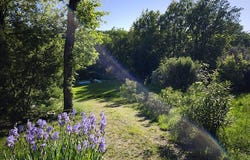 Saïx, Occitanie 81710