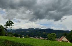 Munster, Alsace 68140