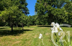 Mers-sur-Indre, Centre 36230