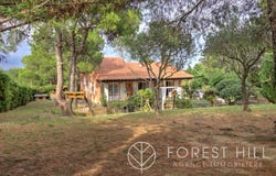 Céret, Languedoc-Roussillon 66400