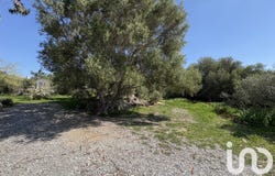 La Palme, Occitanie 11480