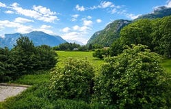 Saint-Laurent, Rhône-Alpes 74800