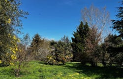 L'Isle-en-Dodon, Midi-Pyrénées 31230