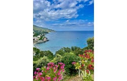 Brando, Corsica 20222
