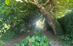 MONT ST AIGNAN, Haute-Normandie 76130