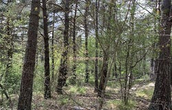 caussols, Provence-Alpes-Côte d'Azur 06460