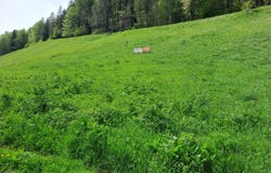 Lajoux, Jura 39310