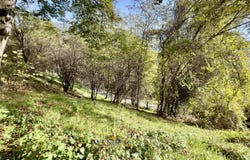 Laragne-Montéglin, Hautes-Alpes 05300