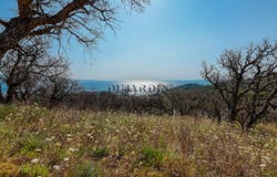 Bormes-les-Mimosas, Provence-Alpes-Côte d'Azur 83230
