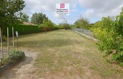 Grues, Pays de la Loire 85580