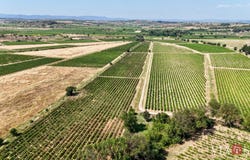 Puisserguier, Languedoc-Roussillon 34620