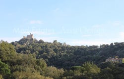Grimaud, Provence-Alpes-Côte-d'Azur 83310