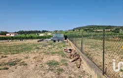 Roujan, Occitanie 34320