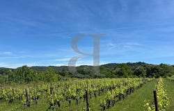 Bonnieux, Provence-Alpes-Côte d'Azur 84480