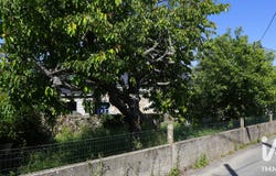 Erdeven, Brittany 56410