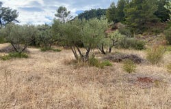 Gonfaron, Var 83590