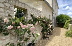 Uzès, Languedoc-Roussillon 30700