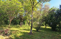 Saint-Macaire, Gironde 33490