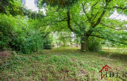 Pressigny, Grand Est 52500