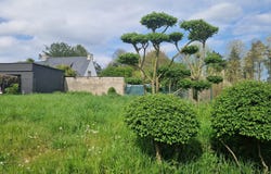 Boqueho, Brittany 22170