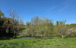 Simandre, Saône-et-Loire 71290