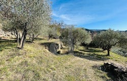 Buis-les-Baronnies, Auvergne-Rhône-Alpes 26170