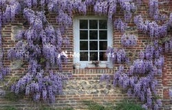 Motteville, Upper Normandy 76970