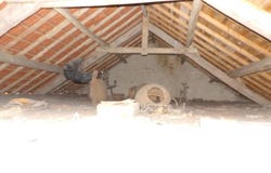Sainte-Thérence, Auvergne 03420