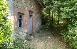 Châteauneuf-la-Forêt, Limousin 87130