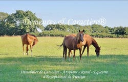 Ancenis, Pays de la Loire 44150