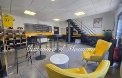 JOUE LES TOURS, Centre 37300