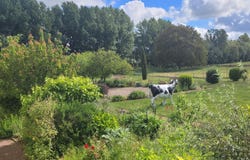 Tavant, Centre 37220
