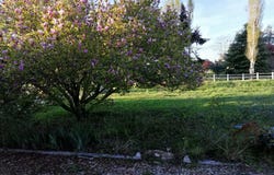 Loupiac, Gironde 33410