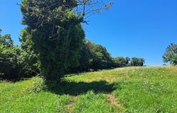 JUILLAC, Limousin 19350