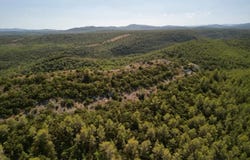 Carcès, Var 83570