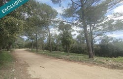 Carnoules, Provence-Alpes-Côte d'Azur 83660