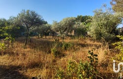 Sorgues, Provence-Alpes-Côte d'Azur 84700