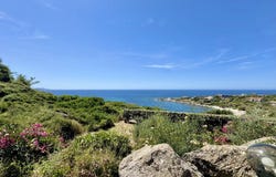 Corbara, Corsica 20220