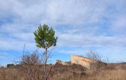 Caux, Languedoc-Roussillon 34720