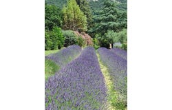 MONTELIMAR, Auvergne-Rhône-Alpes 26200