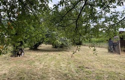 Wangen, Bas-Rhin 67520